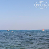 фото из отзыва ID 1314211