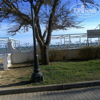 фото из отзыва ID 1314246