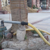 фото из отзыва ID 1314331