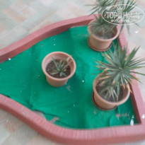 фото из отзыва ID 1314331