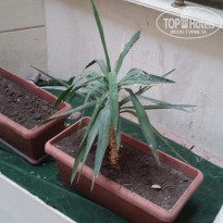 фото из отзыва ID 1314331