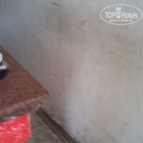 фото из отзыва ID 1314331