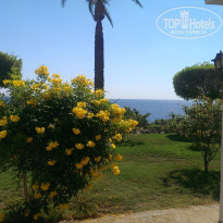 фото из отзыва ID 1314418