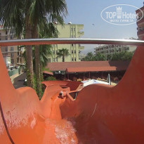 фото из отзыва ID 1313947