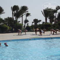 фото из отзыва ID 1314423