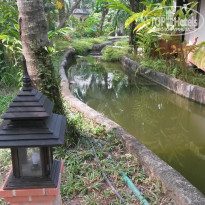 фото из отзыва ID 1312575