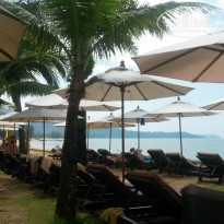 фото из отзыва ID 1312575