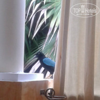 фото из отзыва ID 1314850