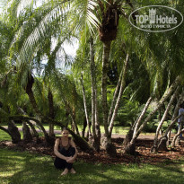 фото из отзыва ID 1314986