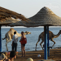 фото из отзыва ID 1315052