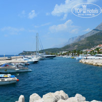 фото из отзыва ID 1315061