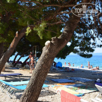 фото из отзыва ID 1315061