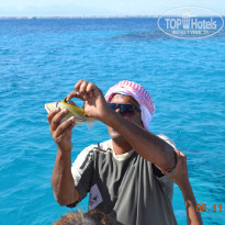 фото из отзыва ID 1315085