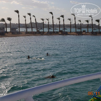 фото из отзыва ID 1315085