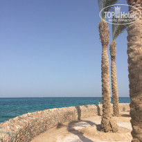 фото из отзыва ID 1315085