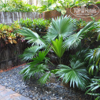 фото из отзыва ID 1315189