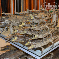 фото из отзыва ID 1315189