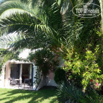 фото из отзыва ID 1315411