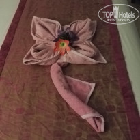 фото из отзыва ID 1315490