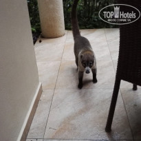 фото из отзыва ID 1315490