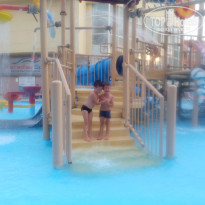 фото из отзыва ID 1315864