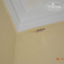 фото из отзыва ID 1314267