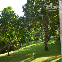 фото из отзыва ID 1314267