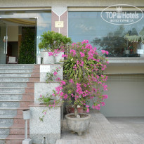 фото из отзыва ID 1316035