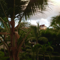 фото из отзыва ID 1316291