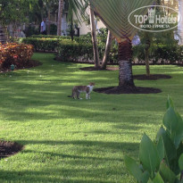 фото из отзыва ID 1316291