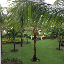 фото из отзыва ID 1316291