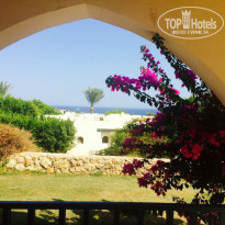 фото из отзыва ID 1316298