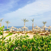 фото из отзыва ID 1316298