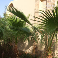 фото из отзыва ID 1316376