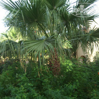 фото из отзыва ID 1316376