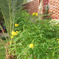 фото из отзыва ID 1316376