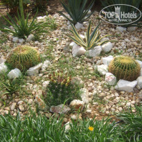 фото из отзыва ID 1316376