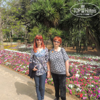 фото из отзыва ID 1316409