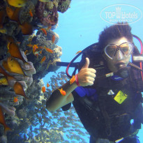 фото из отзыва ID 1316451