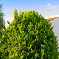 фото из отзыва ID 1316512