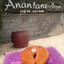 фото из отзыва ID 1316702