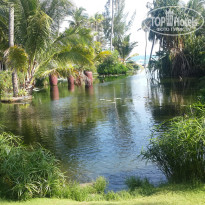 фото из отзыва ID 1316702