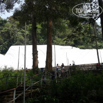 фото из отзыва ID 1316702