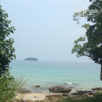 фото из отзыва ID 1316764