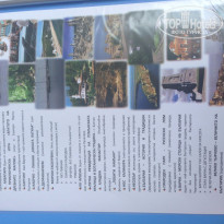 фото из отзыва ID 1316841