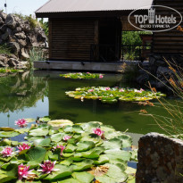 фото из отзыва ID 1316896