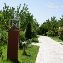 фото из отзыва ID 1316896