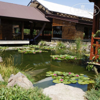 фото из отзыва ID 1316896