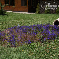 фото из отзыва ID 1316896