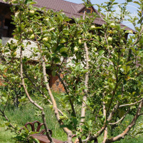 фото из отзыва ID 1316896